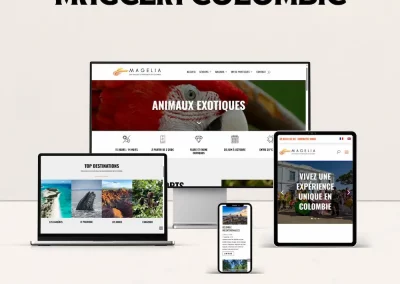 Création du site WordPress d&rsquo;une agence de voyage en Colombie