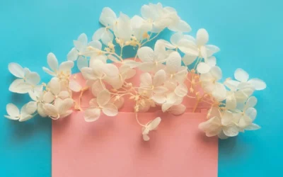 Créer une newsletter qui déchire : 10 étapes pour fidéliser ton audience