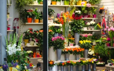 Référencement local : comment apparaître sur Google quand on est une petite entreprise ?